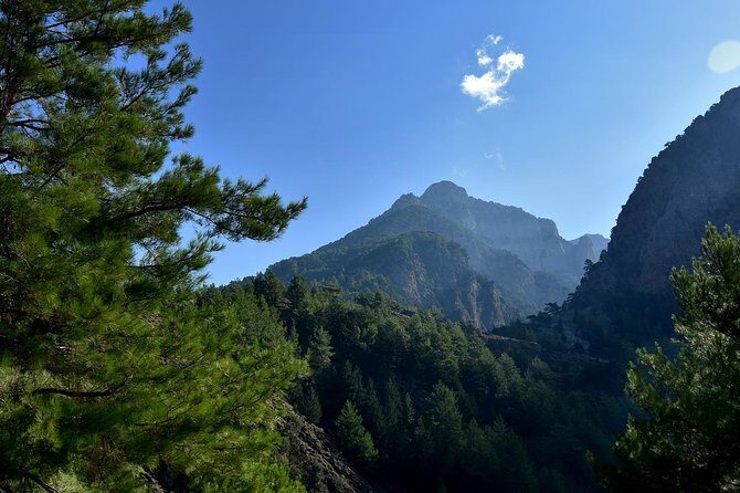Hiking at Samaria, the longest Gorge in Europe! From Chania - Deep Dive into the Samaria Gorge Tour Experience