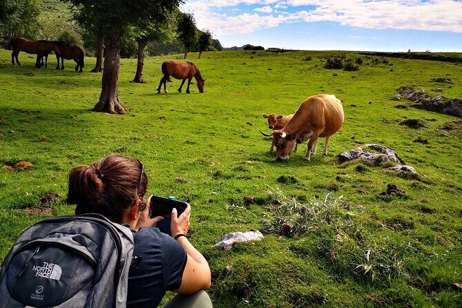 Hiking Experience in Asturias, from Gijón or Oviedo - In-Depth Look at the Itinerary