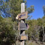 Hiking in Parnitha National Park from Athens - The Value: Is It Worth It?