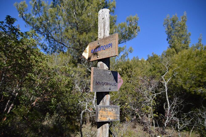 Hiking in Parnitha National Park from Athens - The Value: Is It Worth It?