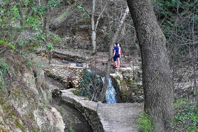Hiking in the natural park on the outskirts of the Alhambra - Who Should Consider This Tour?