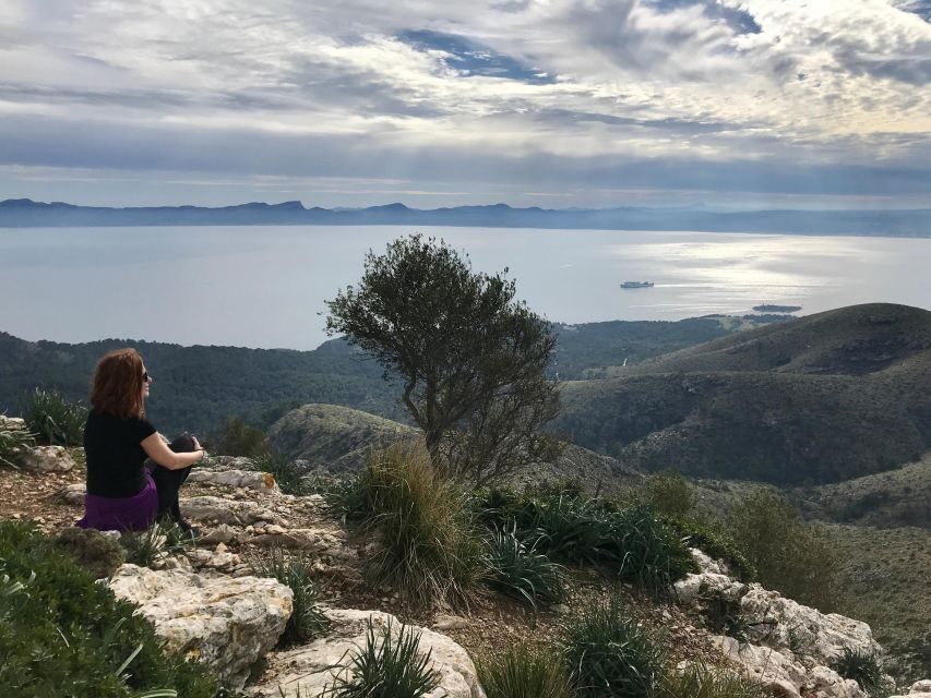 Hiking on Alcúdia Peninsula - Exploring the Details of the Alcúdia Peninsula Hike