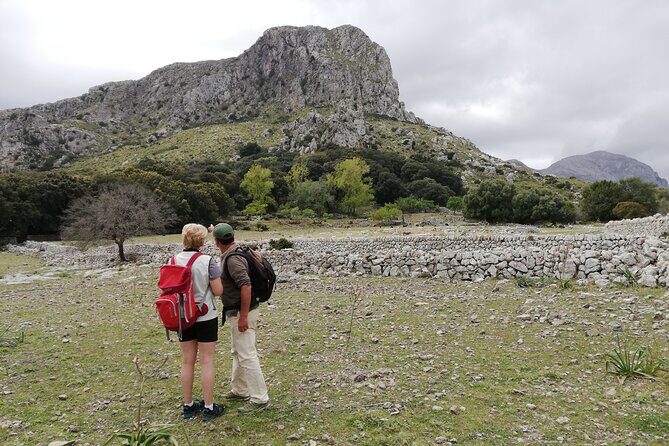 Hiking Private Tour in Pollensa - FAQ