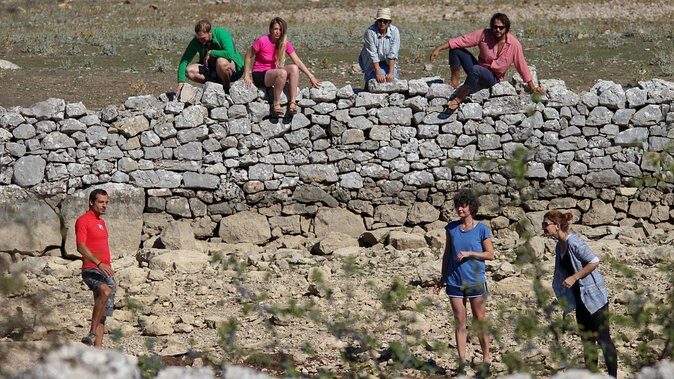 Hiking tour Vidova gora and visiting Museum of olive oil - Who Will Love This Tour?