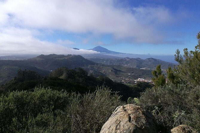 hikking tour in Anaga - Why This Tour Works
