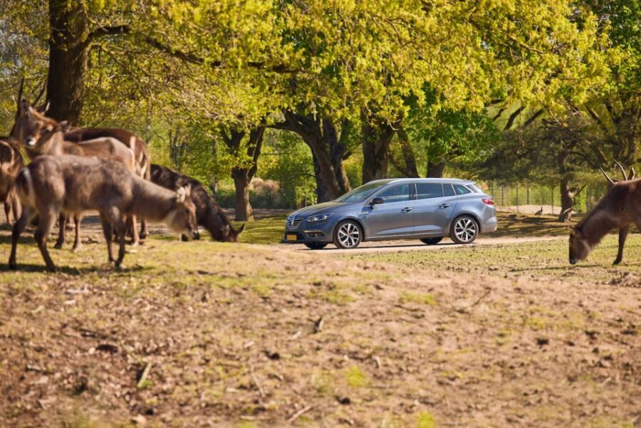 Hilvarenbeek: Safaripark Beekse Bergen Entry Ticket - Practical Tips for Visiting