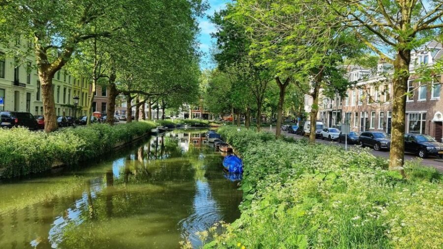 Historical Utrecht: Private Tour with Local Guide - What to Expect from the Itinerary