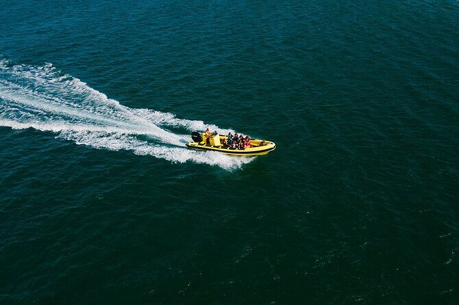 Hop On Hop Off 3 Islands: Deserta, Farol and Culatra - Authentic Experiences That Stand Out