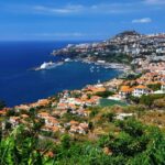 Hop-on Hop-off Bus Tour and Catamaran Whale & Dolphin Watching - FAQ