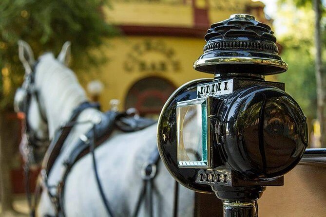 Horse and Buggy Ride in Seville with guide - Who Will Love This Tour?
