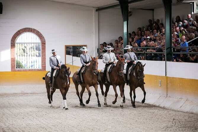 Horse and Flamenco Show in Malaga with Dinner - The Full Experience: What You Can Expect