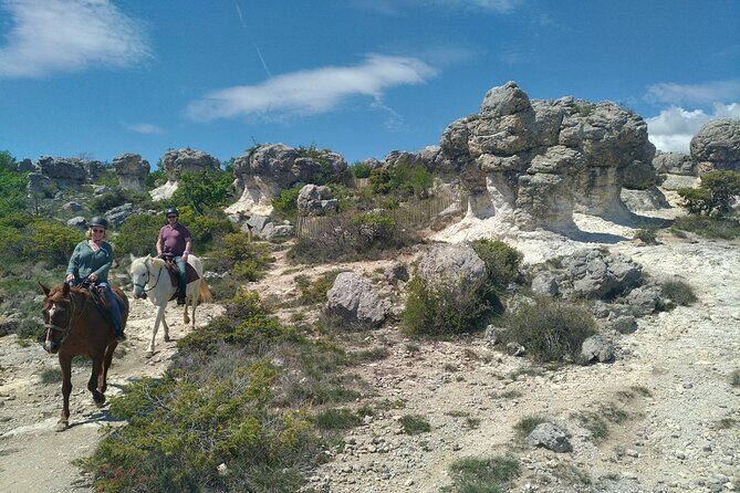 Horse ride in Haute Provence Luberon and Forcalquier - Analyzing the Value