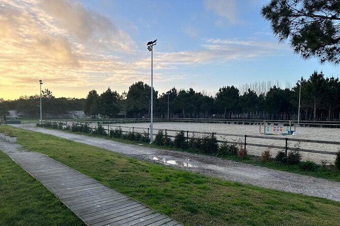 Horse Riding in Aveiro - Ílhavo - The Sum Up