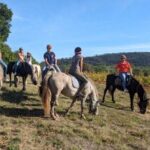 Horse riding in the vineyards of Grimaud + wine tasting - Who Would Love This Tour?