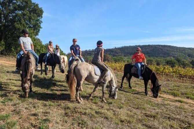 Horse riding in the vineyards of Grimaud + wine tasting - Who Would Love This Tour?