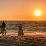 Horse Riding on Melides Beach - A Deeper Look at the Melides Beach Horseback Riding Tour