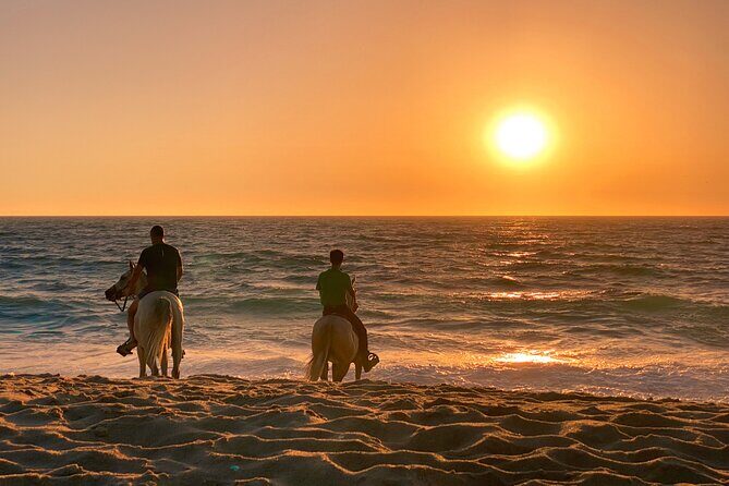 Horse Riding on Melides Beach - A Deeper Look at the Melides Beach Horseback Riding Tour