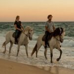 Horse Riding on the Beach - Final Thoughts: Is This Tour for You?