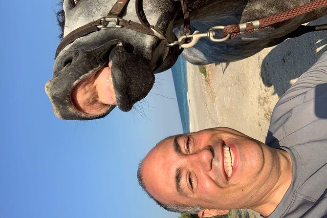 Horse riding on the Beach, Rhodes - Detailed Breakdown of the Itinerary