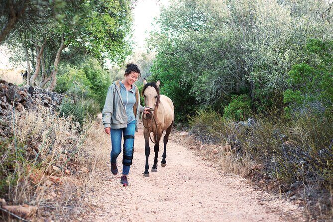 Horse Sanctuary: A nature walk with Rescued Horses by your side - An Authentic Encounter with Rescued Horses