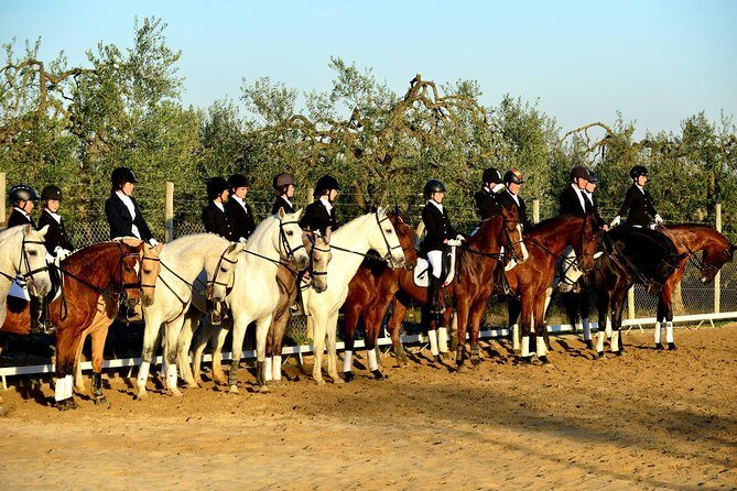 Horseback riding around Doñana - FAQ
