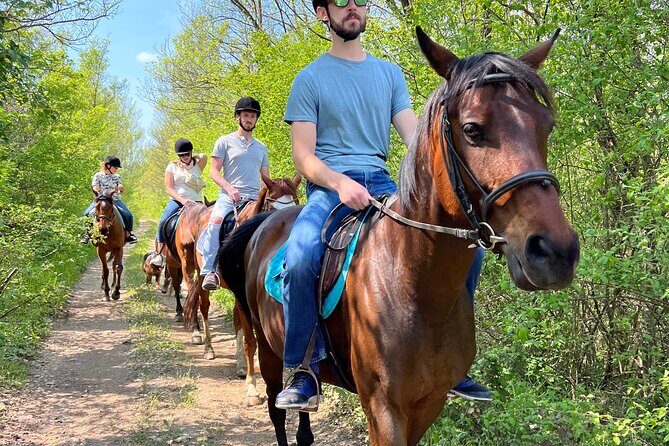Horseback Riding Experience with transport from Dubrovnik - Price and Value