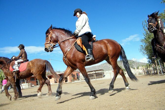 Horseback Riding in Fuerteventura for 1 or 2 hours, Spain - Visiting Hidden Gems