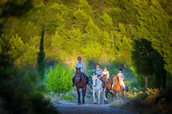 Horseback Riding in Konavle Region with Transport from Dubrovnik - The Experience Itself: What to Expect