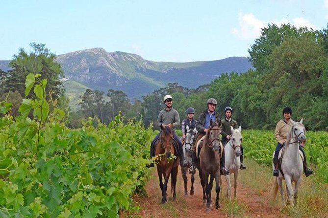 Horseback Riding In Lisbon - Arrábida - Louro Trail Mountain 5 - 6 Hours - The Full Experience: A Deep Dive into the Arrábida Horseback Tour