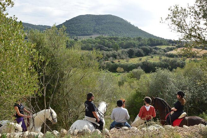 Horseback Riding in Randa Valleys, Mallorca, Spain - Key Points