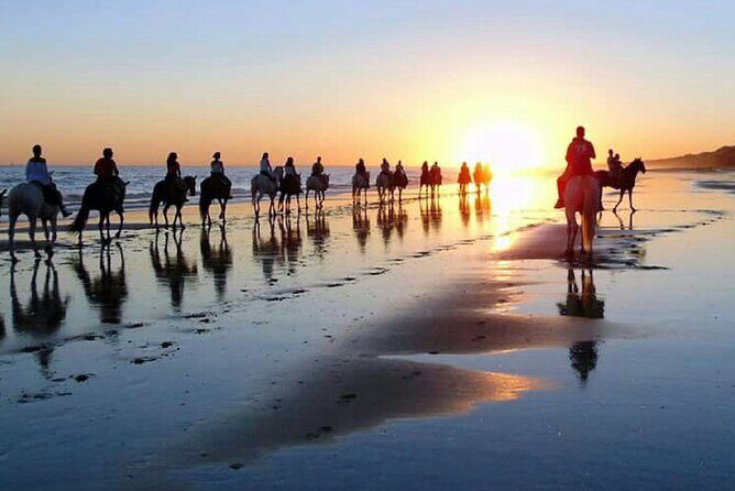 Horseback riding through Doñana and visit of El Rocio - Private tour - Visiting El Rocio: The Town of Horses and Sandy Streets