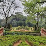Horta Labyrinth Walking Tour in Barcelona - Practical Details & Value