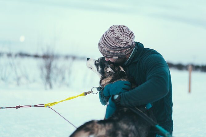 Husky Sledding Self-Drive Adventure in Tromso - The Sum Up