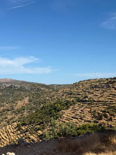 Hvar: Hvar Wine Tasting Experience - What We Love About It