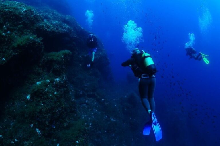 Ibiza: 3.5-Day PADI Open Water Dive Course - An In-Depth Look at the Ibiza PADI Open Water Dive Course