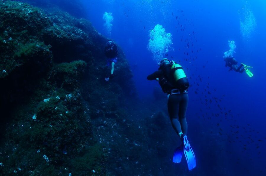 Ibiza: 3.5-Day PADI Open Water Dive Course - An In-Depth Look at the Ibiza PADI Open Water Dive Course