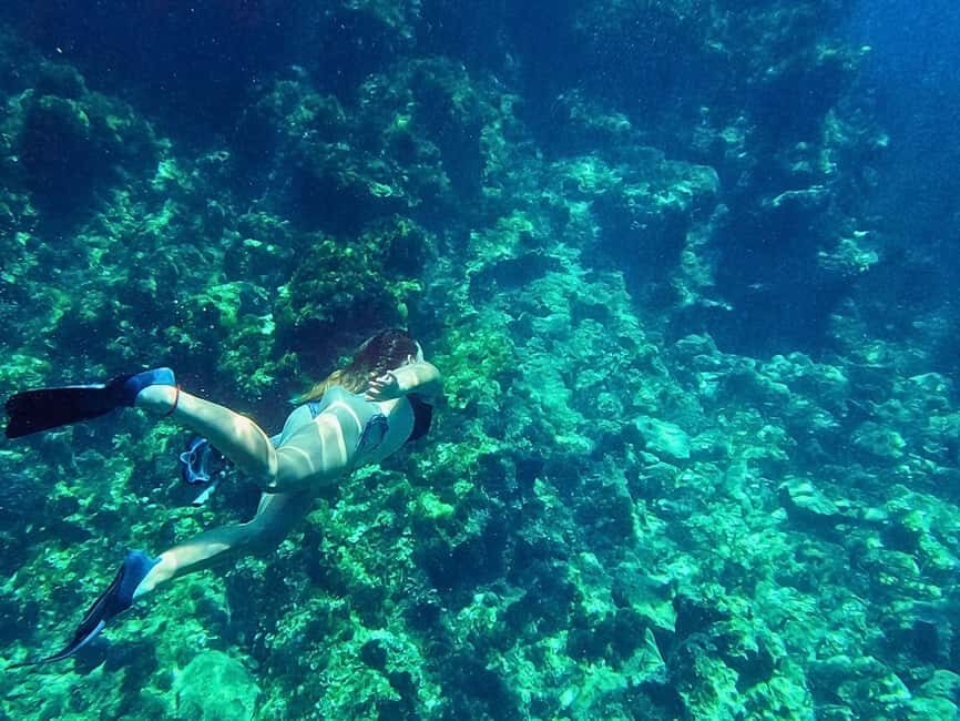 Ibiza: Guided Snorkeling Trip