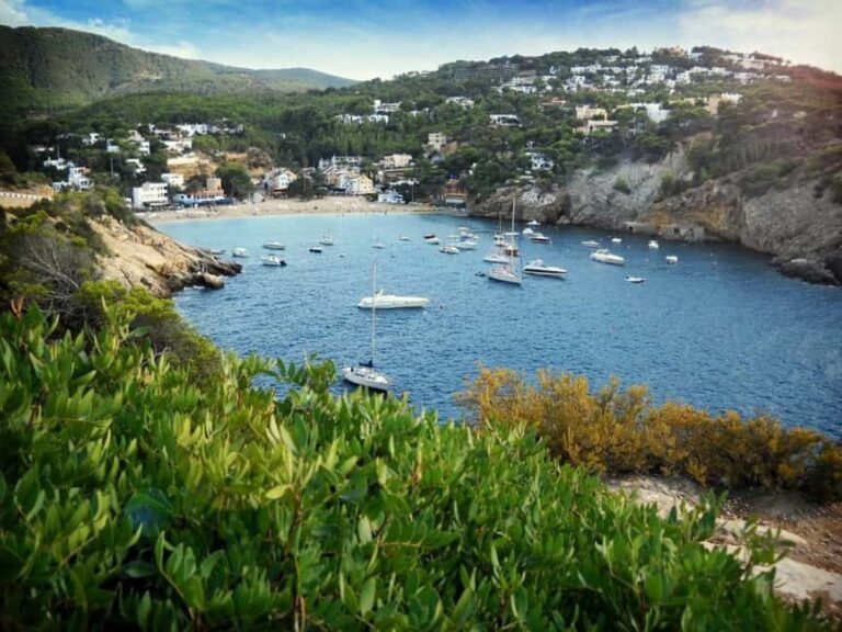 Ibiza: Land & Sea Adventure by BUGGY + PADDLE SURF - Who Will Enjoy This Tour?