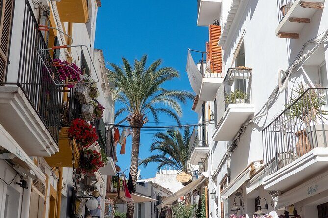 Ibiza old town Private Walking Tour with a Professional Guide - Why This Tour Offers Good Value