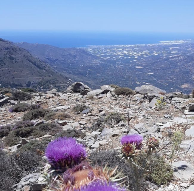 Ierapetra: Eastern Crete Nature Jeep Driving Tour - A Closer Look at the Ierapetra: Eastern Crete Nature Jeep Driving Tour