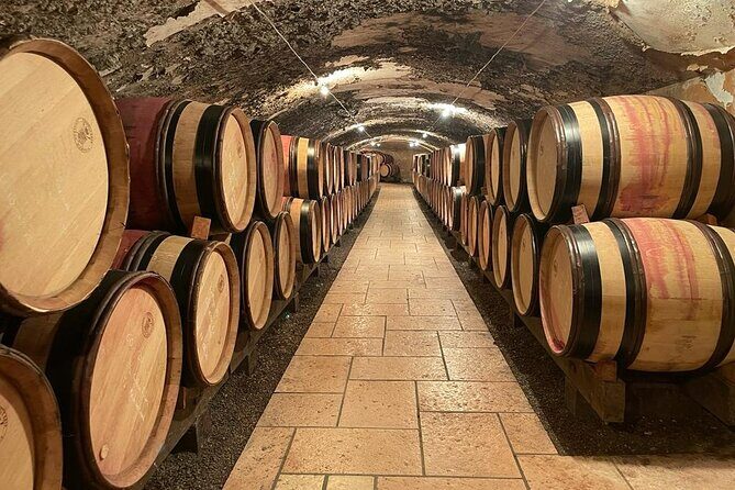 Immersion Domaine E.GUIGAL Visit wine cellars and tasting - FAQs
