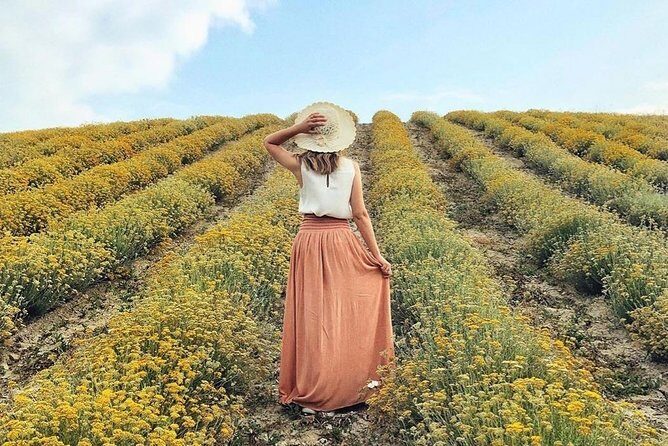 Immortelle farm island Krk - Authenticity and Reviews