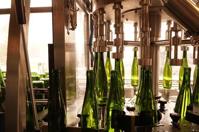 Introduction to Alsace wines - Who Is This Tour Best For?