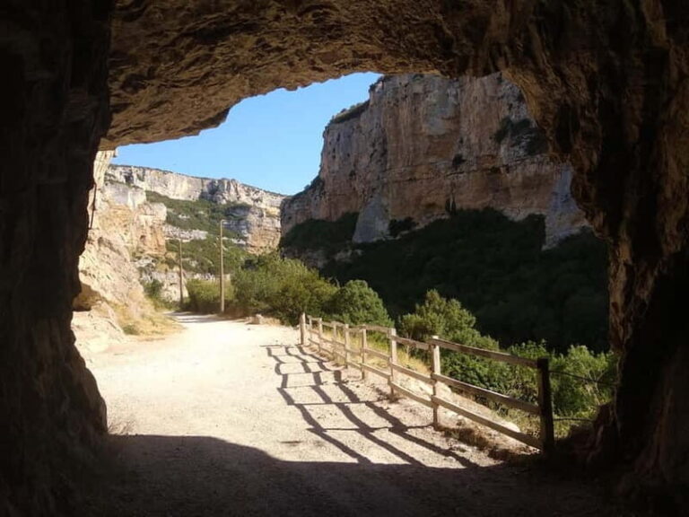 Irati Forest and Ochagavía Excursion - Final Thoughts