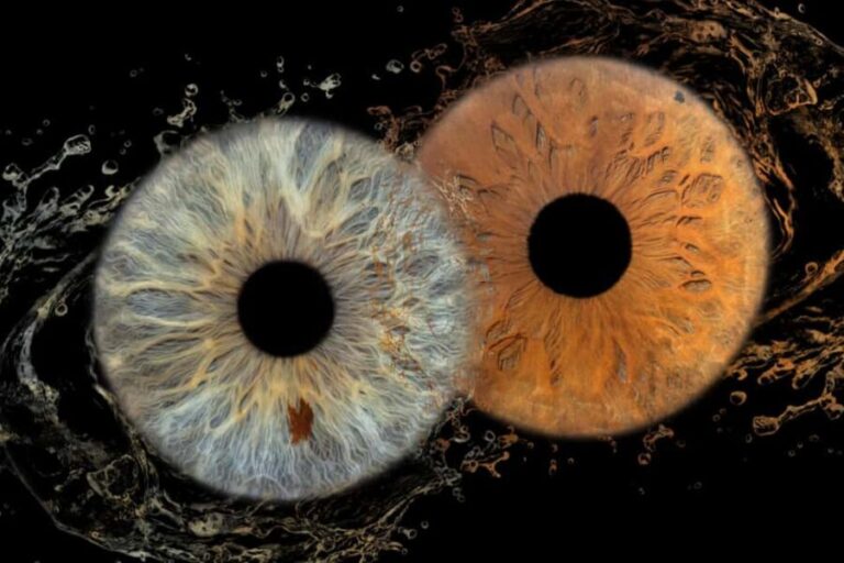 IRIS Photography (macro photo of your eye) - Why This Experience Offers Good Value