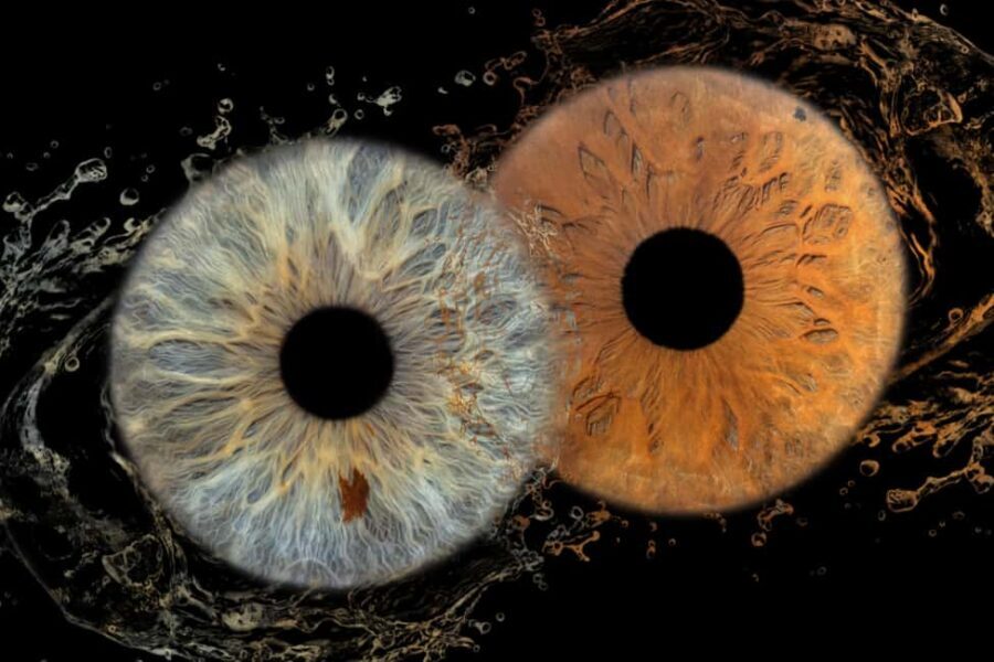 IRIS Photography (macro photo of your eye) - Why This Experience Offers Good Value