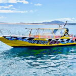 Island Lobos: Lobos by speedboat, Popcorn Beach & Dunes Tour - A Deep Dive into the Experience