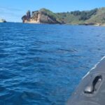 Islet Tour- Ilhéu de Vila Franca do Campo - Exploring the Islet Tour: An In-Depth Look