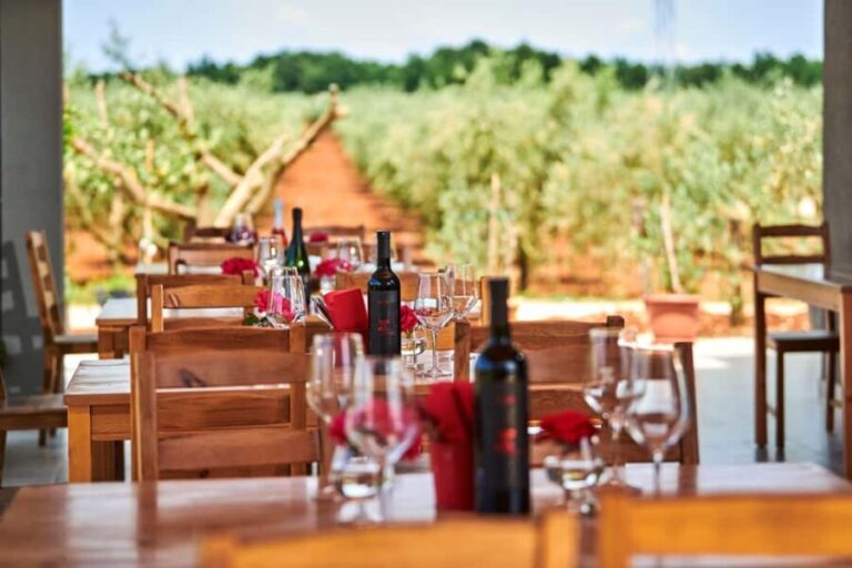 Istria: Pervino wine tasting - What to Expect on Your Visit