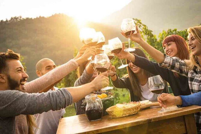 Istria private day tour from Rovinj - Who Will Love This Tour?
